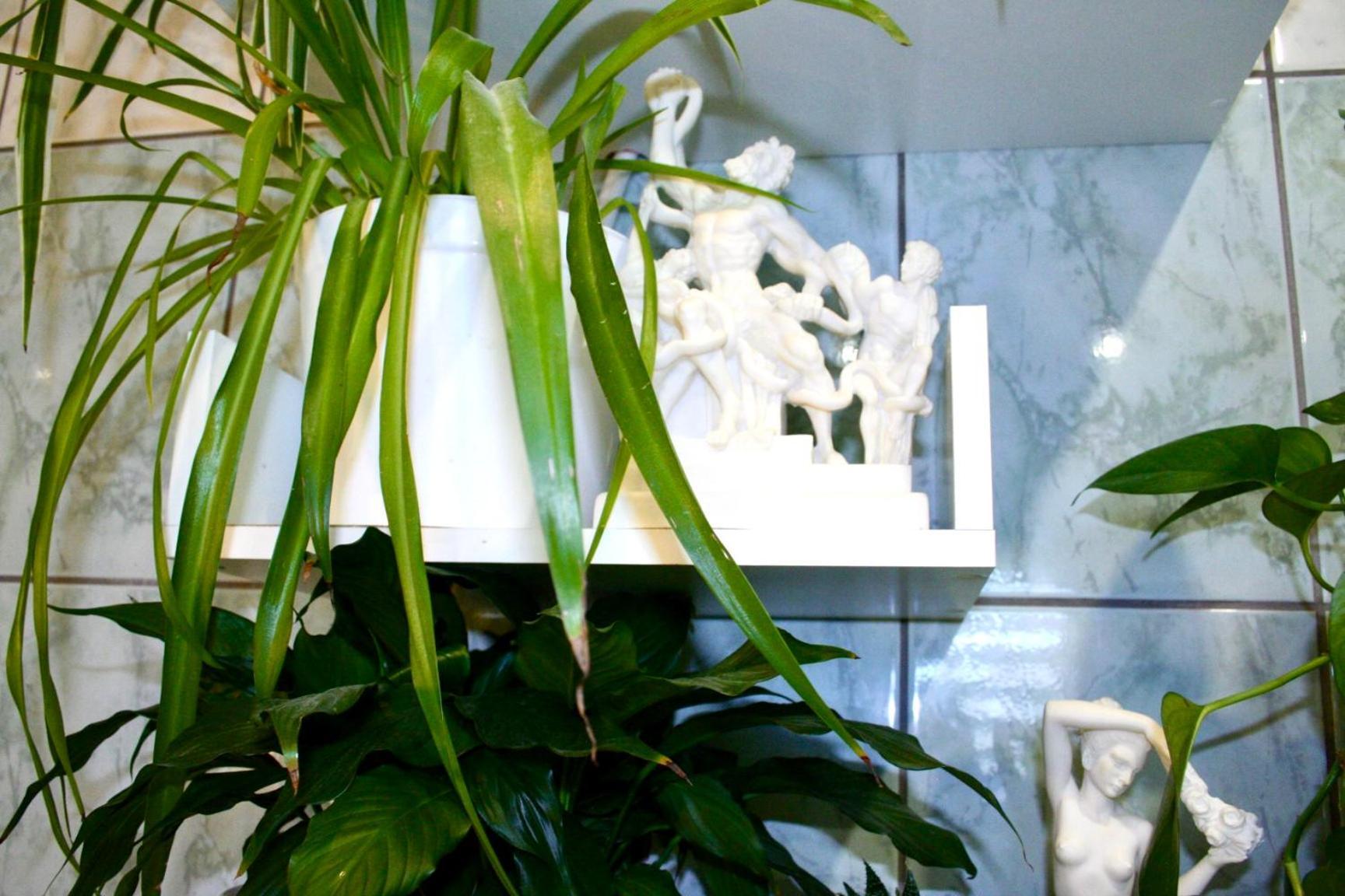 Apartment Goscinny Zakatek *